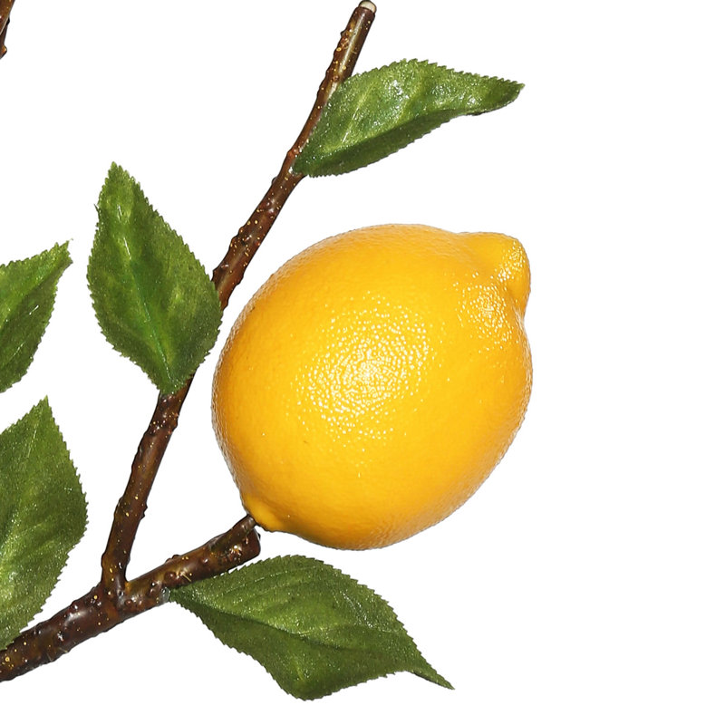 Citronnier artificiel