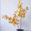 Golden Gingko Branch - 47,2 po-1363227257-1363227258