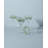 Holiday 8 oz. Martini Glass