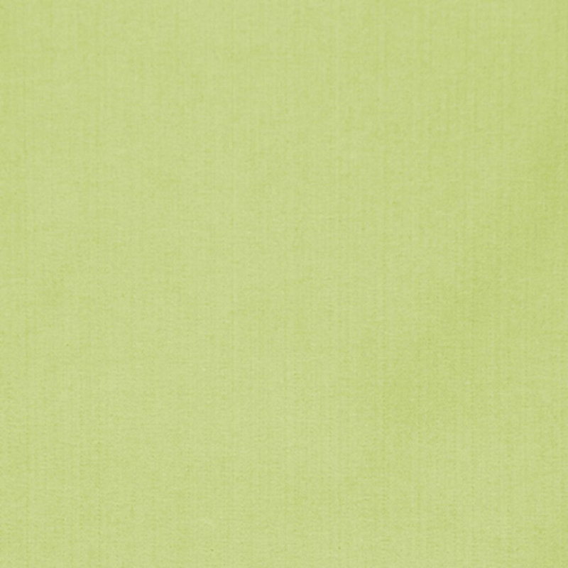 Wesco Puget Sound Fabric, Kiwi