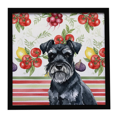 Black Miniature Schnauzer Vegetables Framed Metal Print