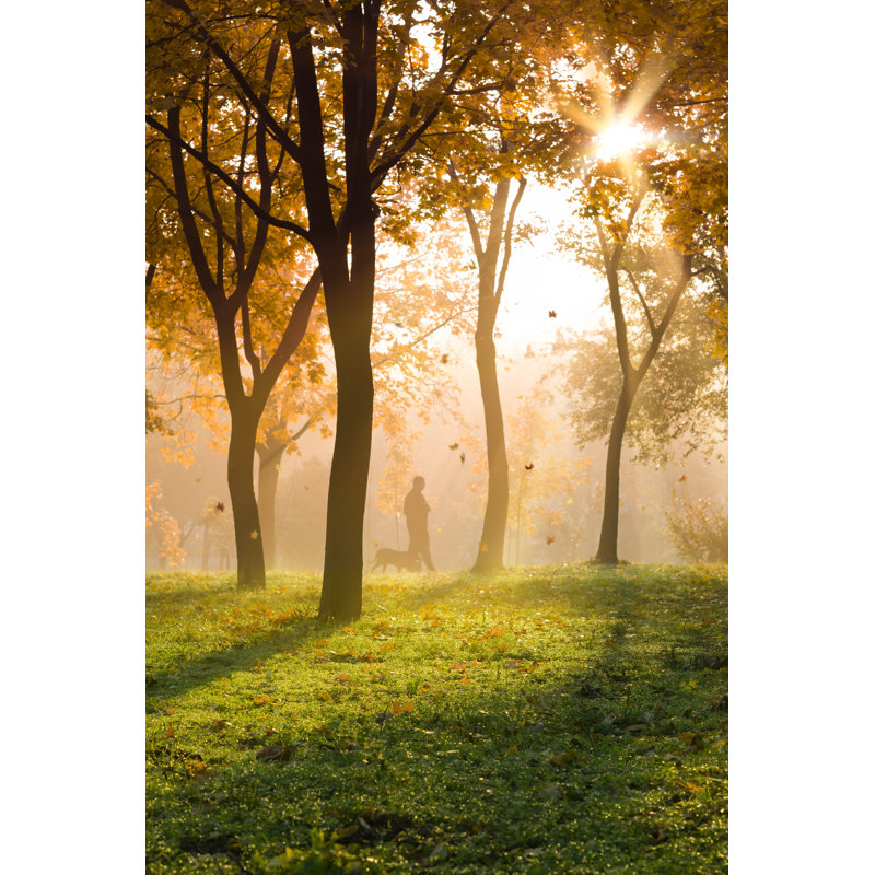 Autumn Walk by SergZSV - Wrapped Canvas Print, 46cm H x 30cm W