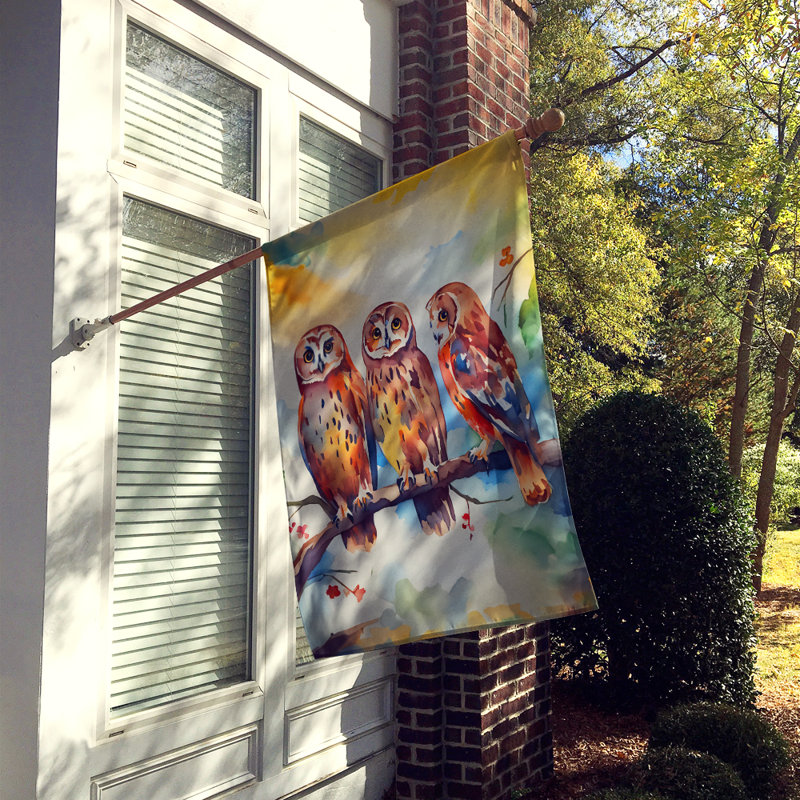 Drapeau Owls House_DAC3247