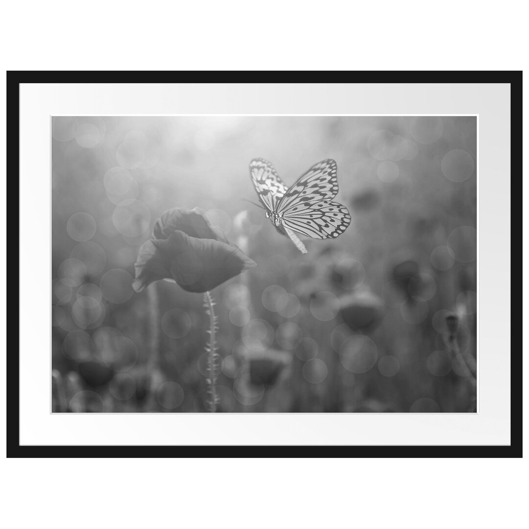 Gerahmtes Poster Mohn und Schmetterling