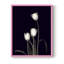 «Tulip Pose III», reproduction encadrée - bois massif-326003816-326003820