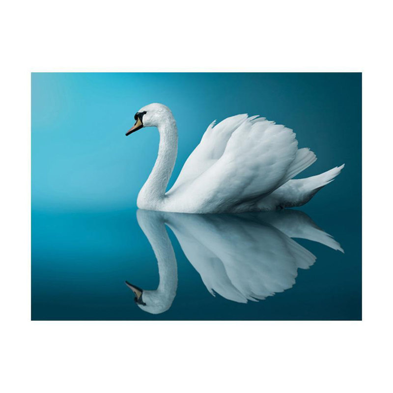 Swan - Murale réflexion, L 7,5 pi x l 9,83 pi