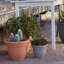 Pot à fleurs intérieur / extérieur Traditional-812177654-927975566