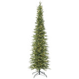 Bixley 10' H Lighted Artificial Fir Christmas Tree
