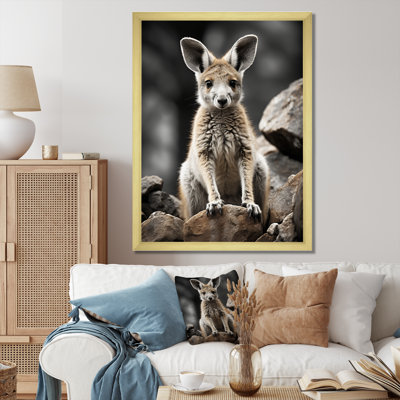 " Kangaroo Bound "