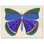 Butterfly Blue (Var. 3) Painting by Paule Marrot