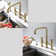 Selected Kitchen Faucet with Side Spray