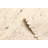 Sienna Tan Rug 5'0" x 7'10"