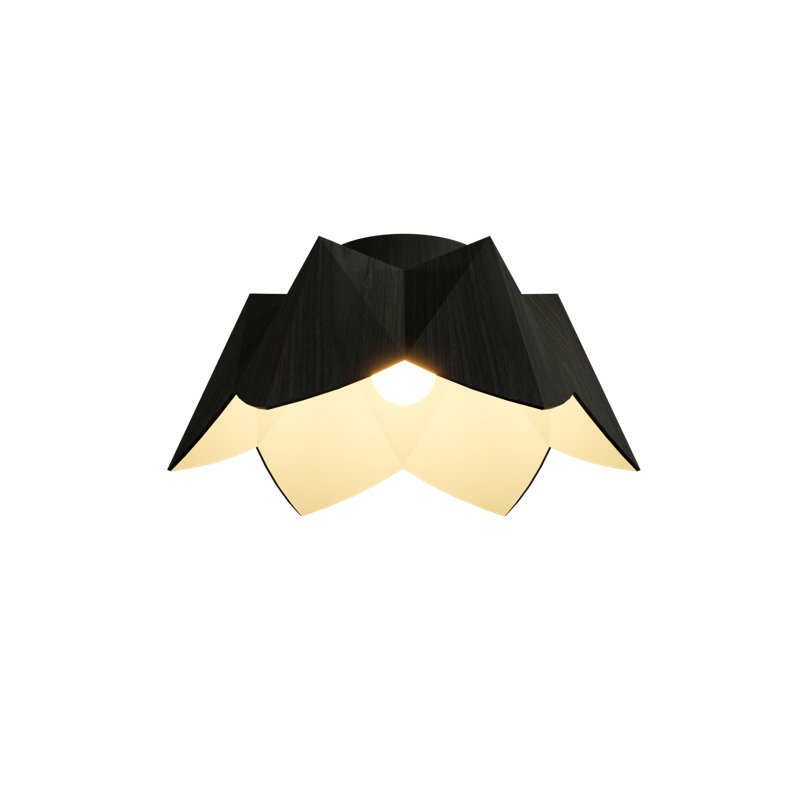Physalis 1 - Light Flush Mount, 7.87" H x 18.5" W x 18.5" D, Charcoal