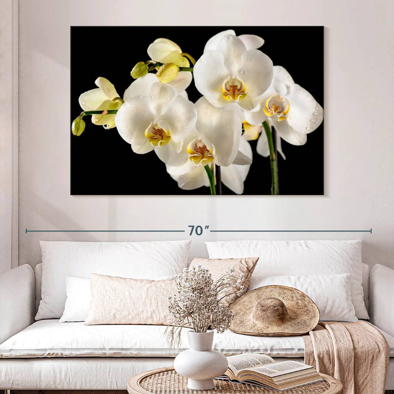 Fleurs d'orchidée blanches fraîches Harnek, H 34 po x l 51 po