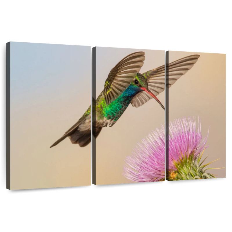 Colibri ronce et fleur de chardon, H 28 po x l 45 po