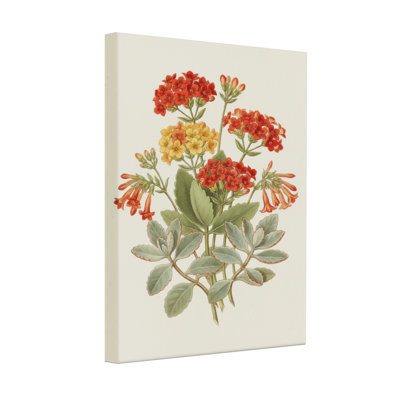 Bouquet de plantes et de fleurs avec fleurs rouges et jaunes