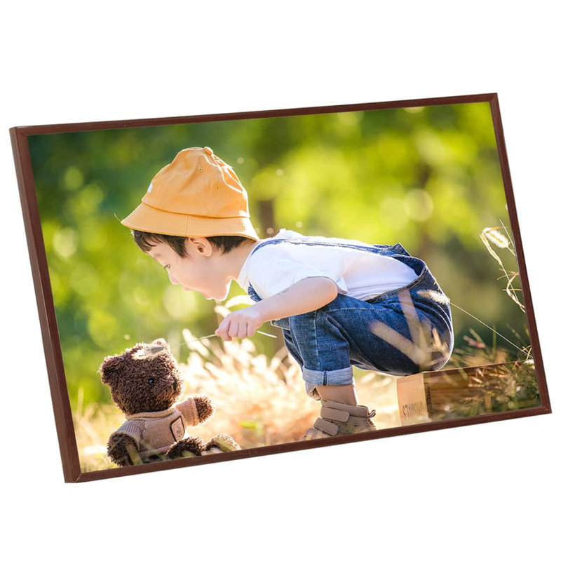 Gryff Picture Frame - Set of 5, Bronze, 35.43cm H x 27.56cm W x 0.2cm D