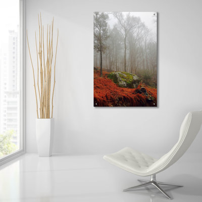 «Red Ferns» par Kelly Sinclair, art mural en verre acrylique, 12 po x 16 po