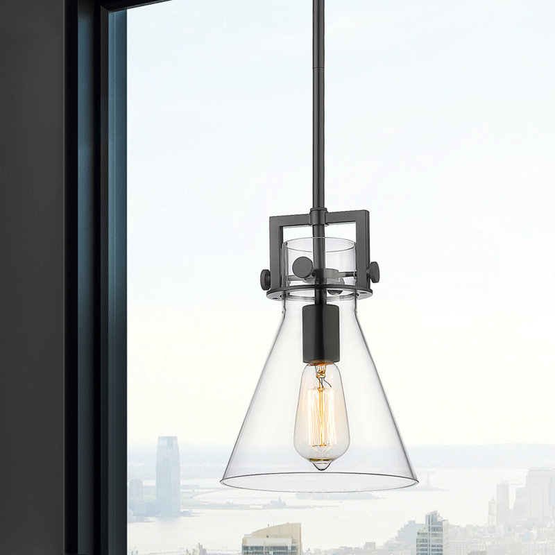 Luminaire suspendu avec tige 30 po Coterie, Transparent, Noir mat, H 11,38 po x l 8 po x P 8 po