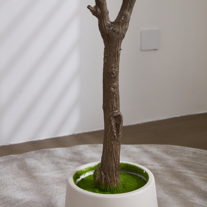 6FT Artificial Olive Tree in White Planter, Realistic Faux Indoor Plant for Living Room, Entryway & Office Decor, White