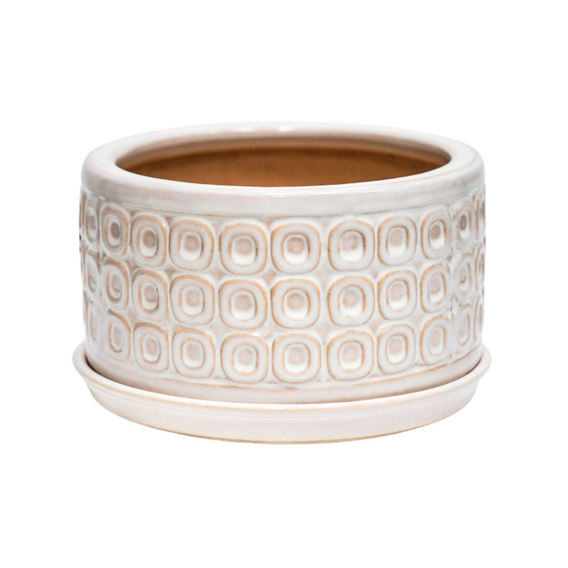 Glazed Bonsai Planter with Saucer, Cream