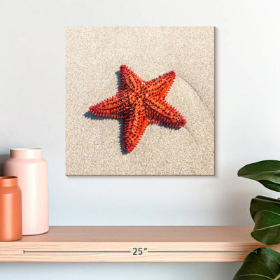 Aletra Red Cushion Sea Star