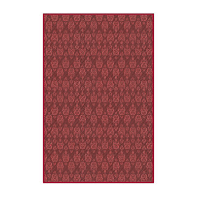Indoor Rug