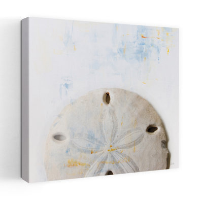 Sand Dollar Coastal Art