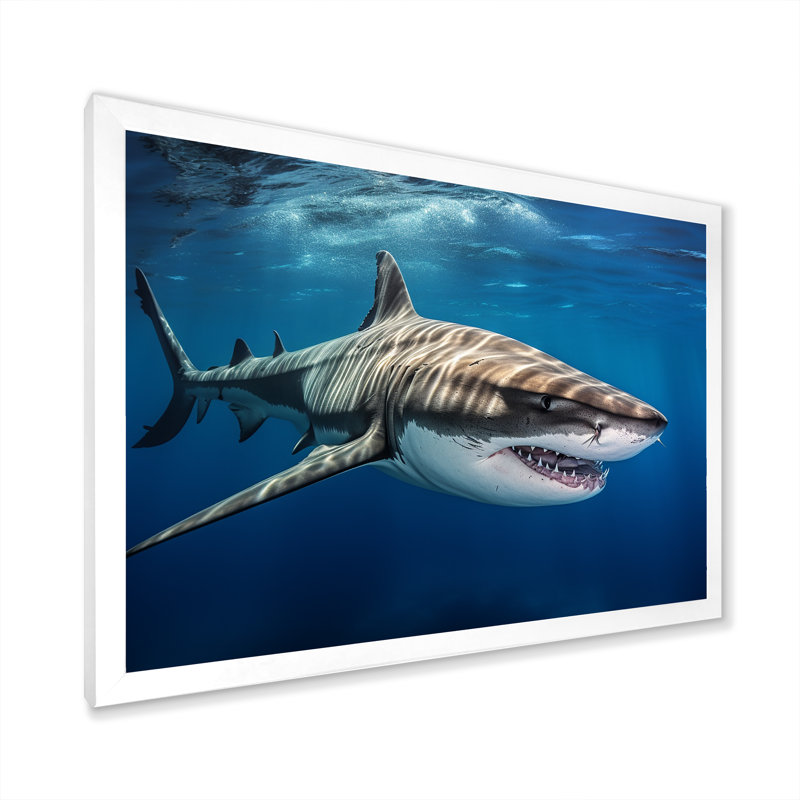 «Tiger Shark Territory I» sur toile, Cadre simple blanc, H 12 po x l 20 po x P 1 po