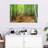 Alvord Iconic Kyoto Bamboo Forest-111983940