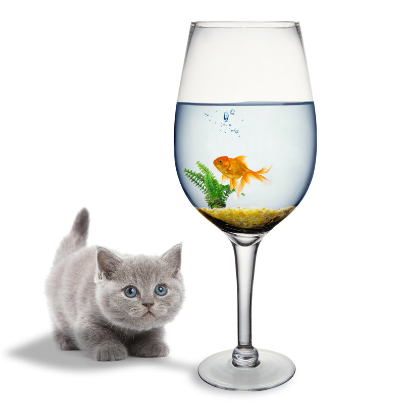 Red Wine Glass