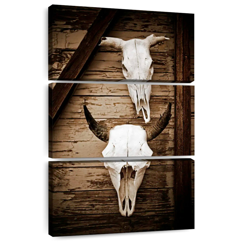 Crâne de vache Lelar Western, H 23 po x l 14 po