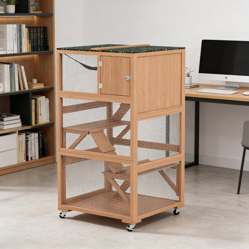Maison d'extérieur en bois pour chat