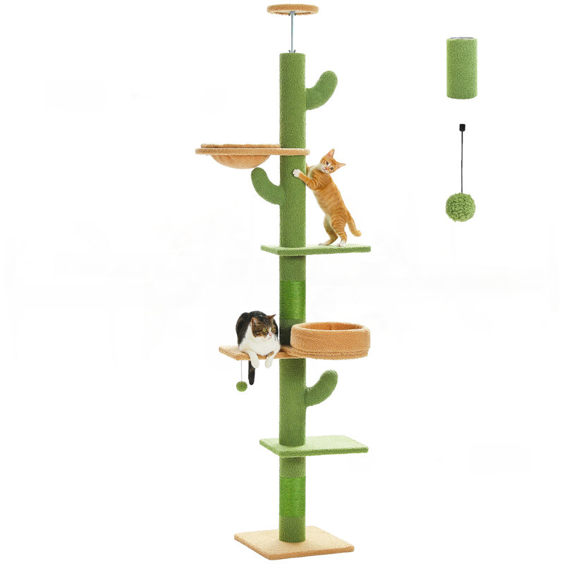 [87 "-101.2"] Arbre à chat Cactus