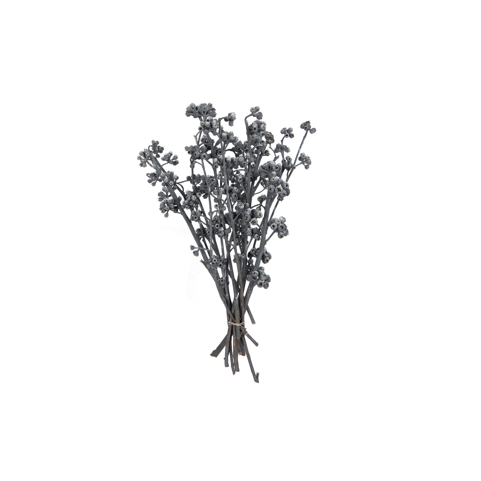 13'' Branch, Gray