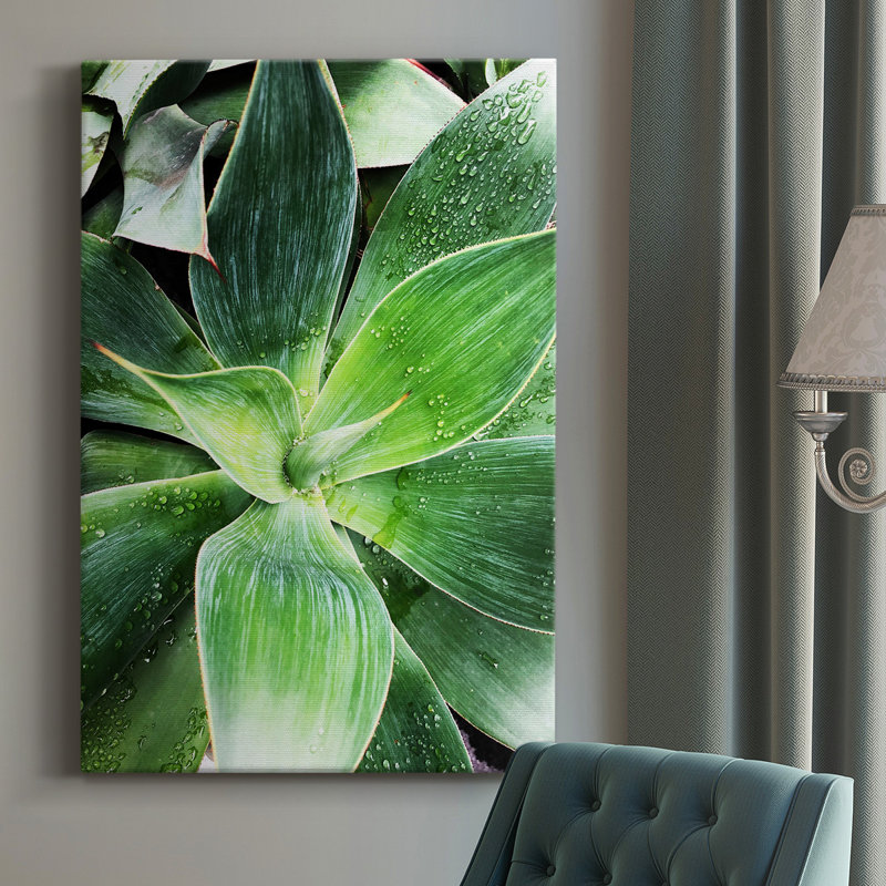 Green Tropical Succulent IV - Photographie sur toile tendue, H 18 po x l 12 po x P 1,5 po