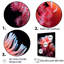 «Pink Coastal Anemone», reproduction d'art mural plage et océan-95890996-95890999