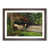 Walnut Framed