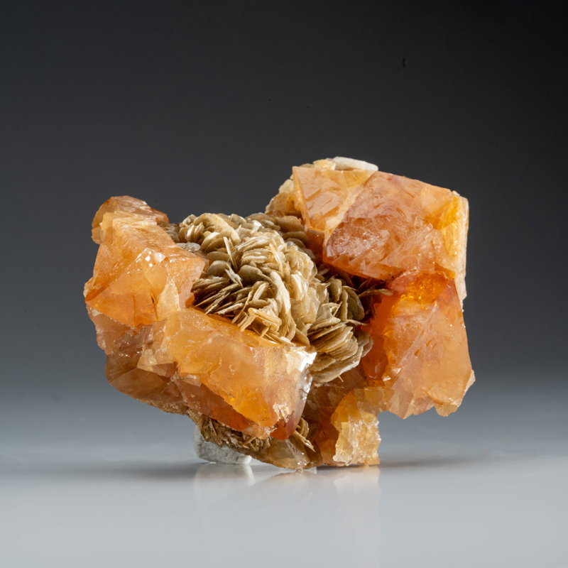 Scheelite with Muscovite from Xuebaoding Mountain Near Pingwu, Sichuan Province, China