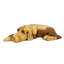 Burruss Animals Figurines & Sculptures