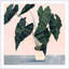 «Houseplant II» par Victoria Borges - peinture encadrée-2120927752-2025857374
