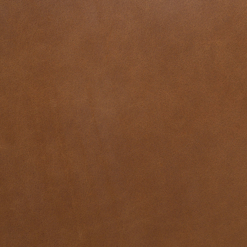 Nettie Dining Chair-Crypton Nomad Snow, Sonoma Chestnut