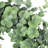 Faux Eucalyptus 9'' Wreath