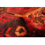 Tapis rouge unique fait à la main de conception unique 3 pi 7 po x 5 pi 4 po Antalya