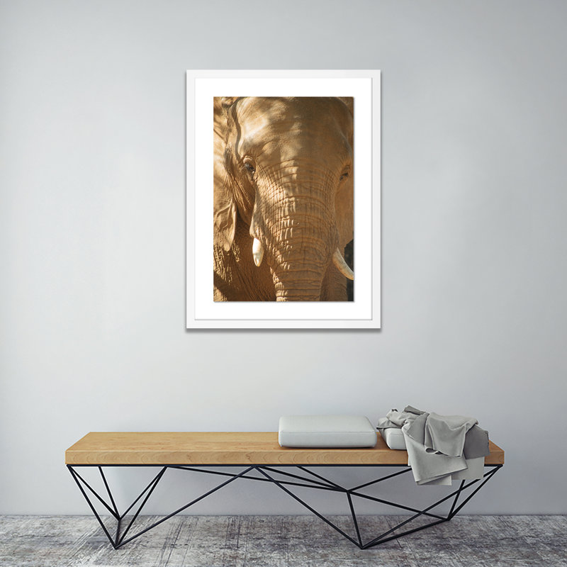 Elephant 2 by Jade Hammer, 40" H x 29" W x 2.5" D, White