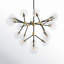 Timothy 20 - Light Chandelier