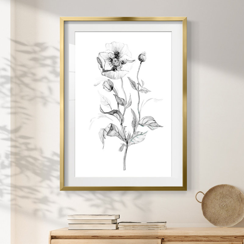 Lys -Gallery Wrapped Canvas