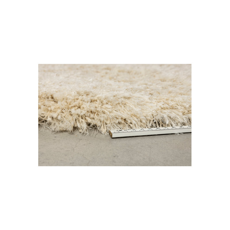 Rug Wool Area Rug in Beige
