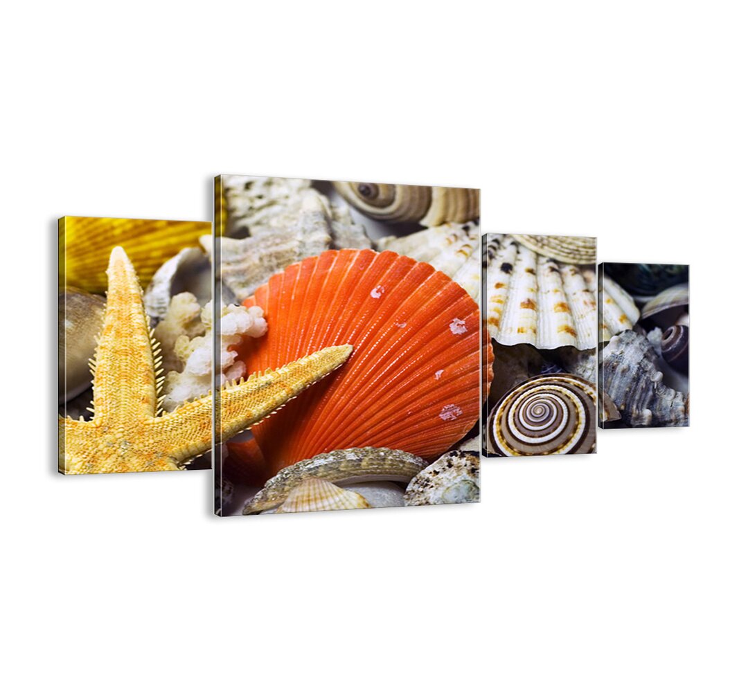 4-tlg. Leinwandbilder-Set - Fotografie â€žOcean Treasuresâ€�