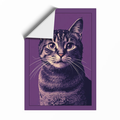 Tabby Gaze Modern - Framed Print